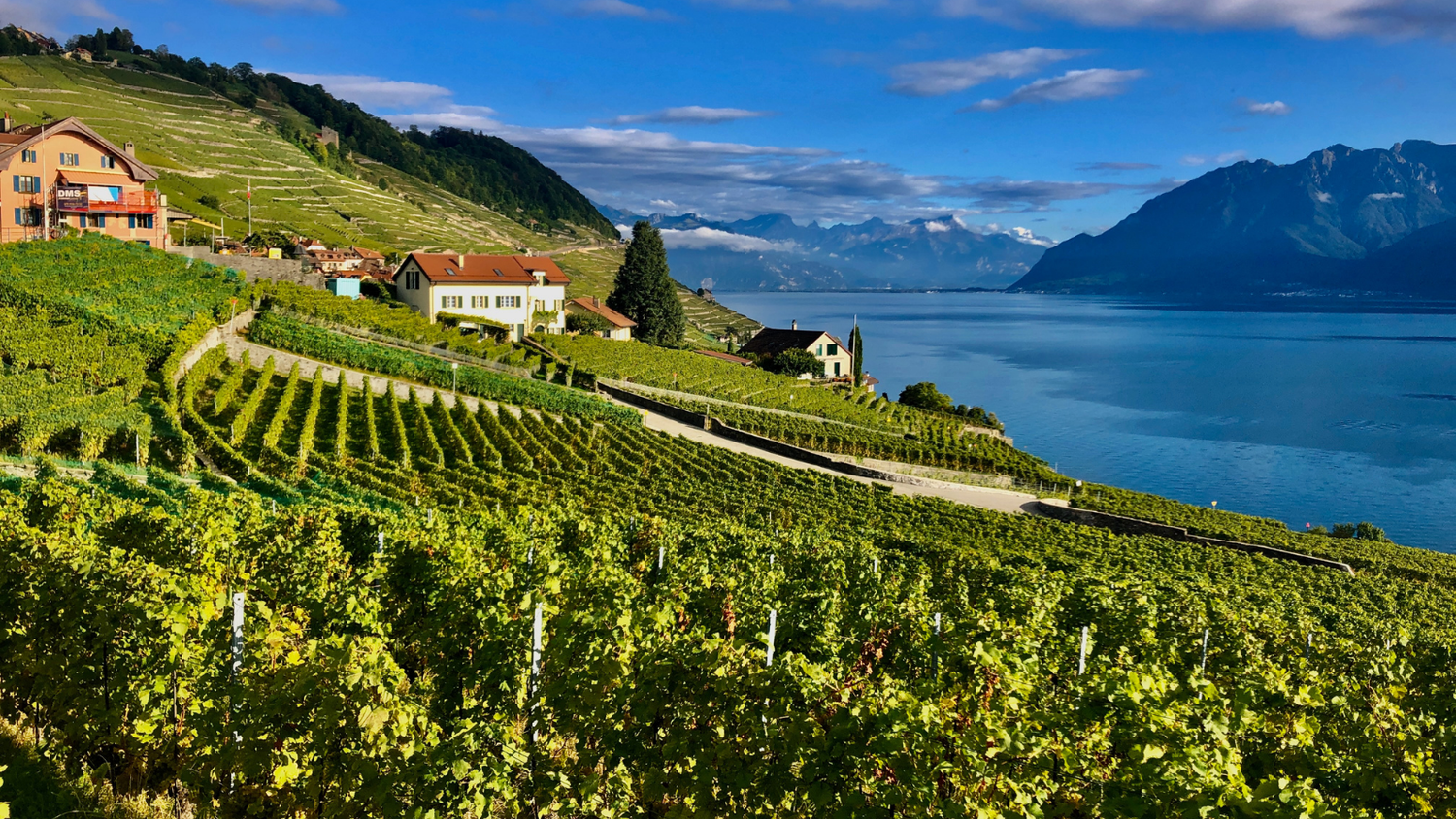 Wine & Fire Evening in Lavaux